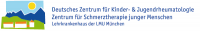 Logo Dzkjr