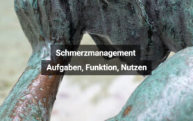 Schmerzmanagement