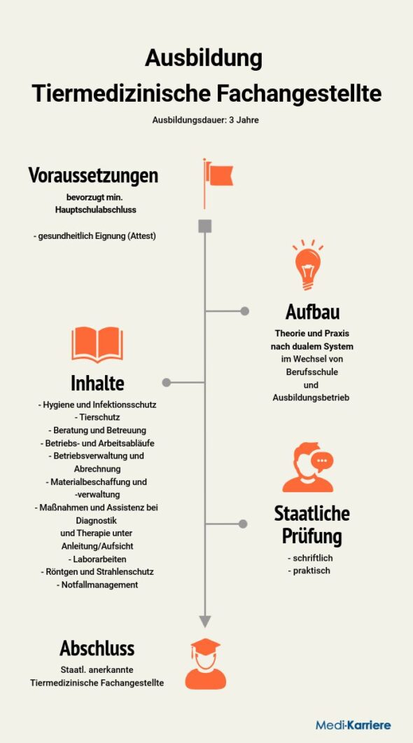 Tiermedizinische Fachangestellte Ausbildung