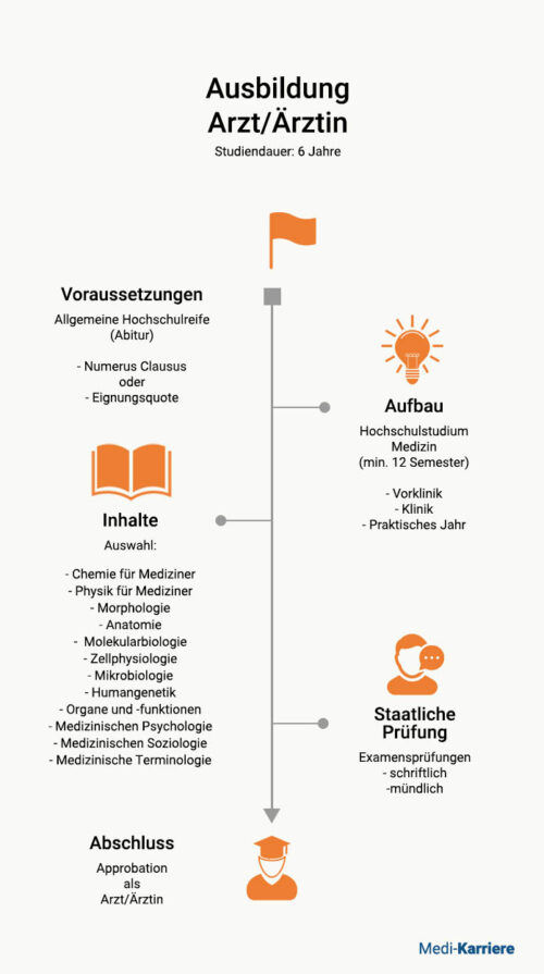 Arzt Werden Überblick