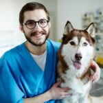 Tierarzt Gehalt