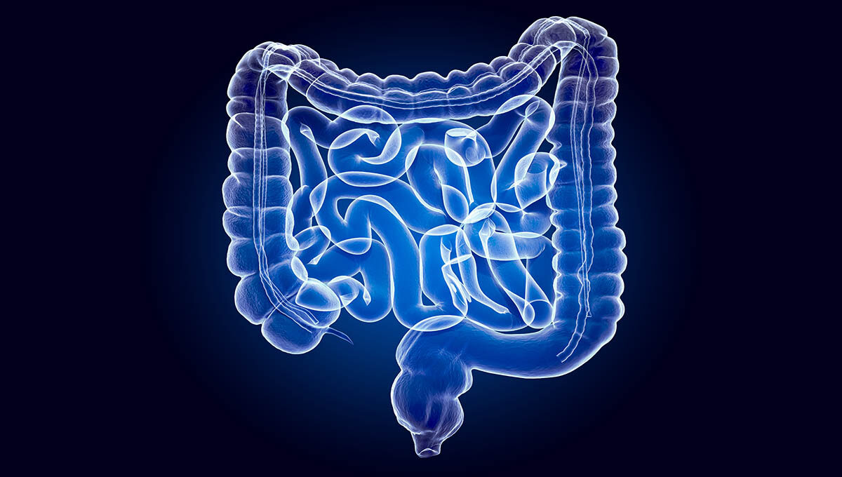 Human,Intestines,,X Ray,Hologram.,3d,Rendering,On,Dark,Blue,Background