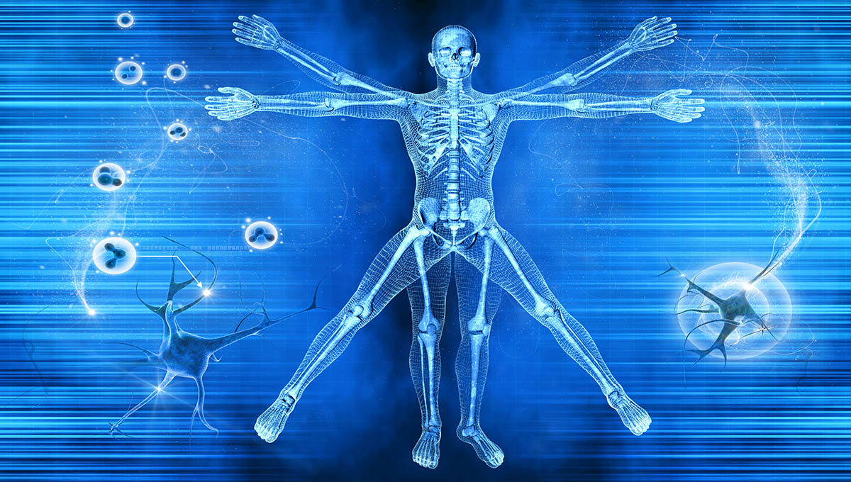 Vitruvian,Man
