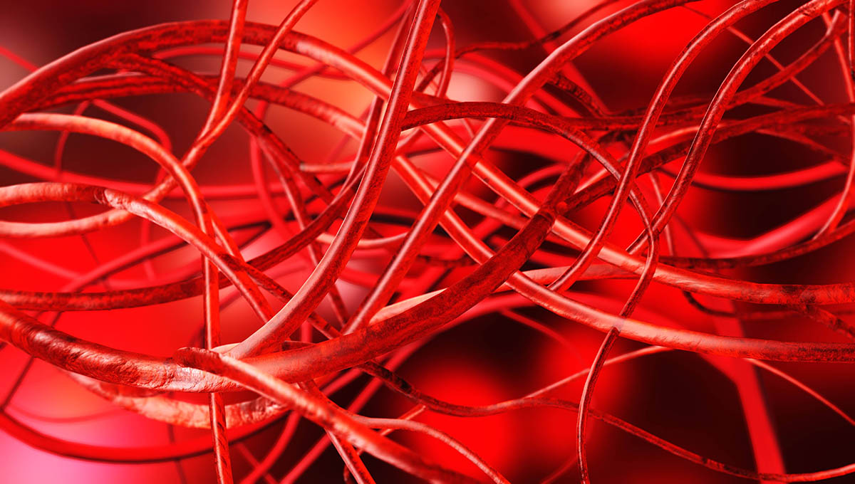 Blood,Vessels,,Veins,And,Arteries,,Circulatory,System,,3d,Rendering