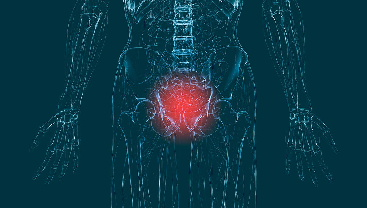 Detail,Hip,Joints