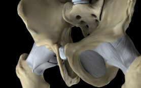 Detail,Hip,Joints