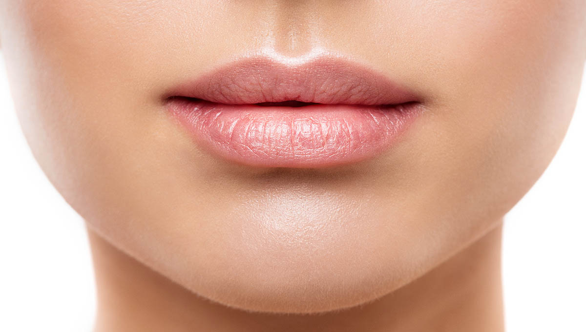 Lippen: Aufbau und Funktion | Medi-Karriere