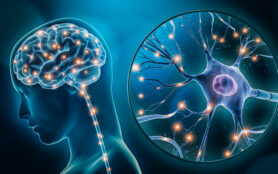 Human,Brain,Stimulation,Or,Activity,With,Neuron,Close Up,3d,Rendering
