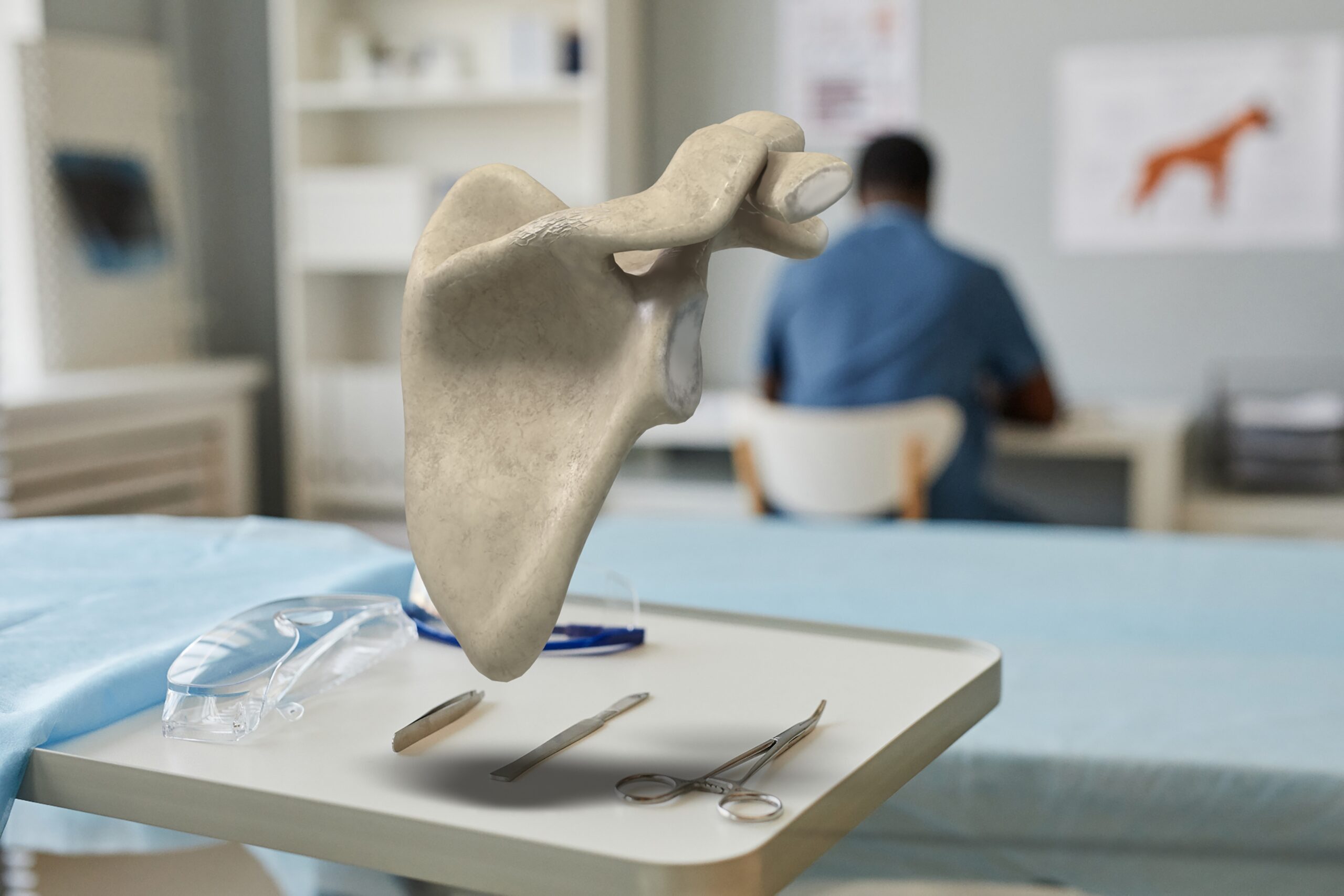 Scapula,Bone,3d,Render,Medical,Anatomy,Illustration,Surgery,Shoulder