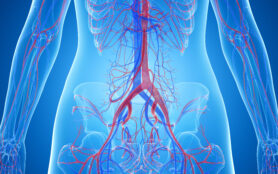 3d,Rendered,Medically,Accurate,Illustration,Of,The,Abdominal,Blood,Vessels
