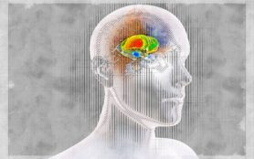 Brain,Dorsal,Striatum,Anatomy,,3d,Illustration,In,Sketch,Style.,The