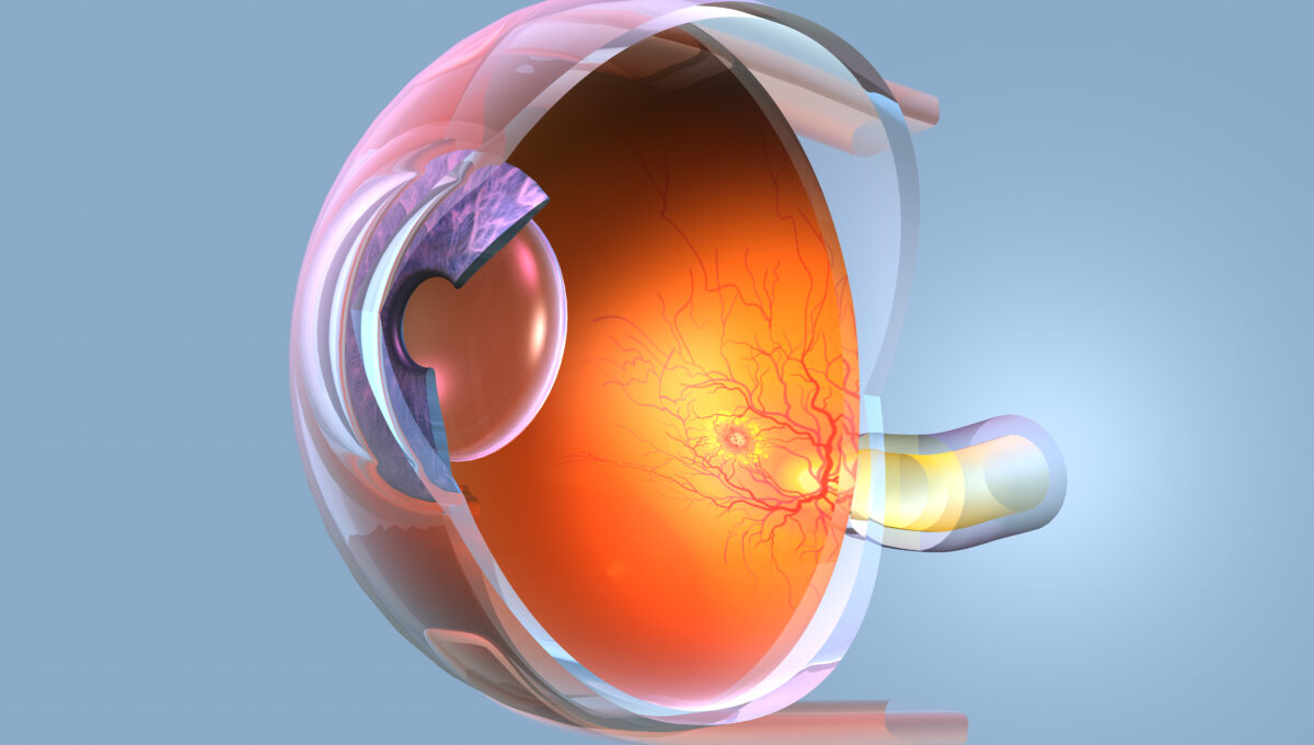 Medically,3d,Illustration,Showing,Human,Eye,With,Retina,,Pupil,,Iris,
