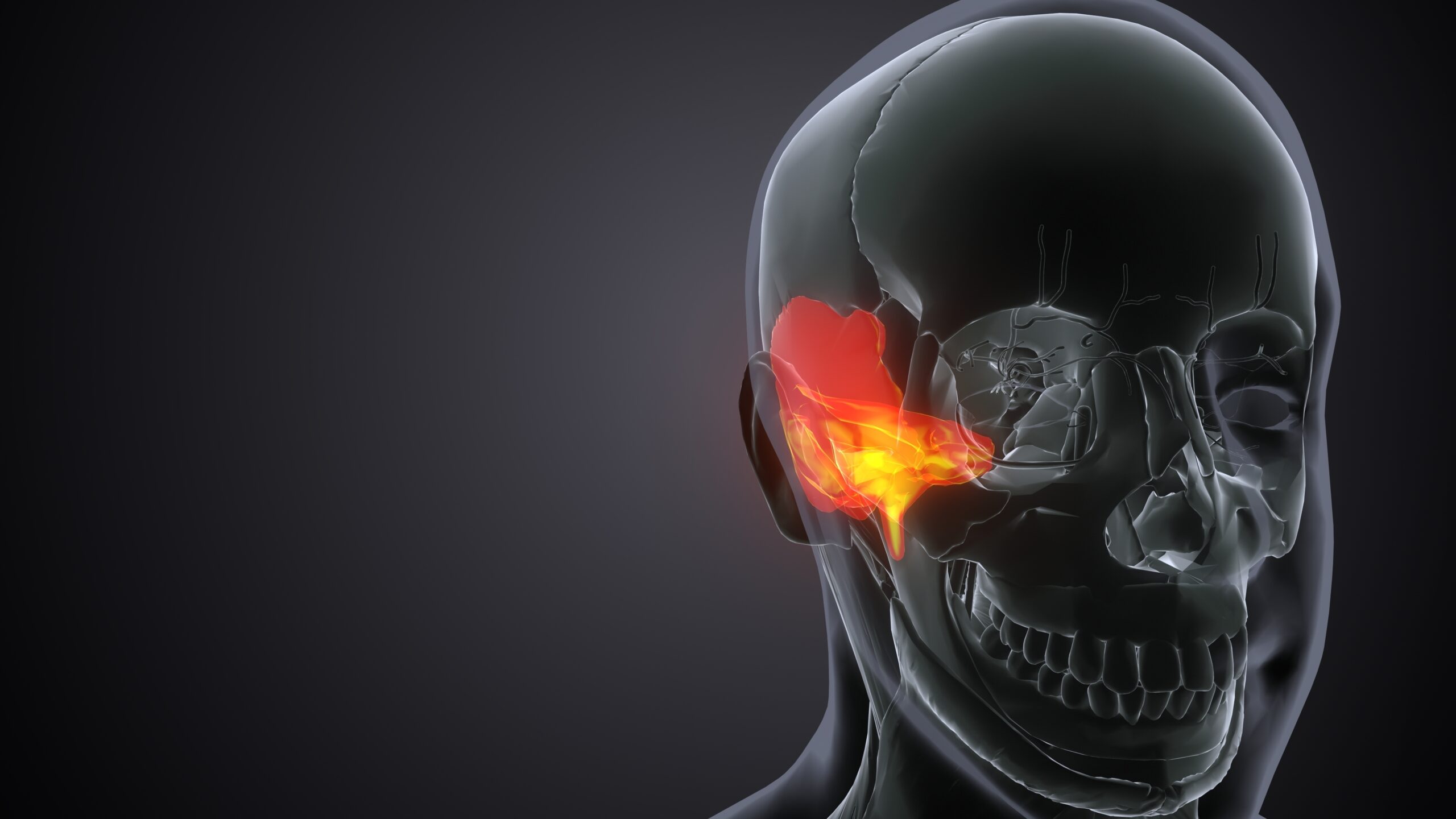 3d,Render,Human,Skeleton,Skull,Temporal,Bone,Anatomy.