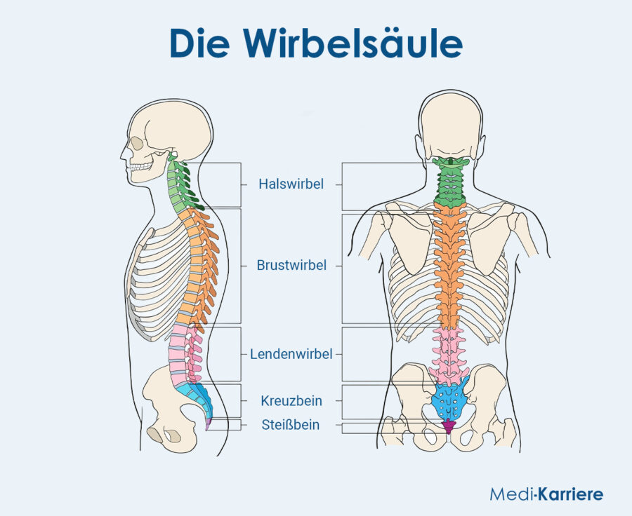 Grafik Rücken