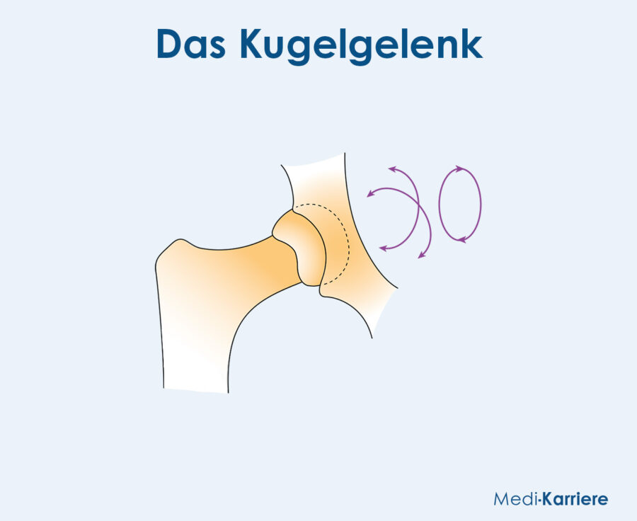 Grafik Kugelgelenk