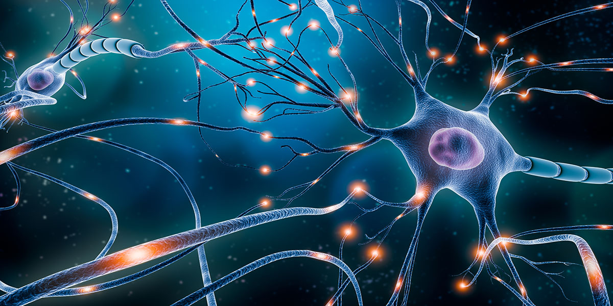 Neuronal,Network,With,Electrical,Activity,Of,Neuron,Cells,3d,Rendering