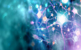 Neural,Network.,Human,Nervous,System,Background,With,Copy,Space,(3d