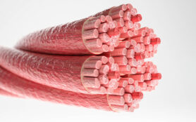 Muscle,Type:,Cardiac,Muscle, ,Cross,Section,Through,A,Muscle