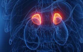 3d,Rendered,Medical,Illustration,Of,A,Woman's,Adrenal,Glands.,Plain