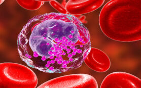 Basophil,,A,White,Blood,Cell,,3d,Illustration.,Basophils,Are,Granulocytes