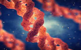 Collagen,Triple,Helix,Molecule,,,Collagen,Is,The,Main,Component
