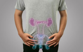 Digital,Composition,Of,Men,Internal,Reproductive,And,Urinary,System,,Healthy