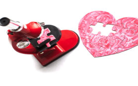 Heart,Under,A,Microscope.,A,Piece,Of,The,Puzzle,From