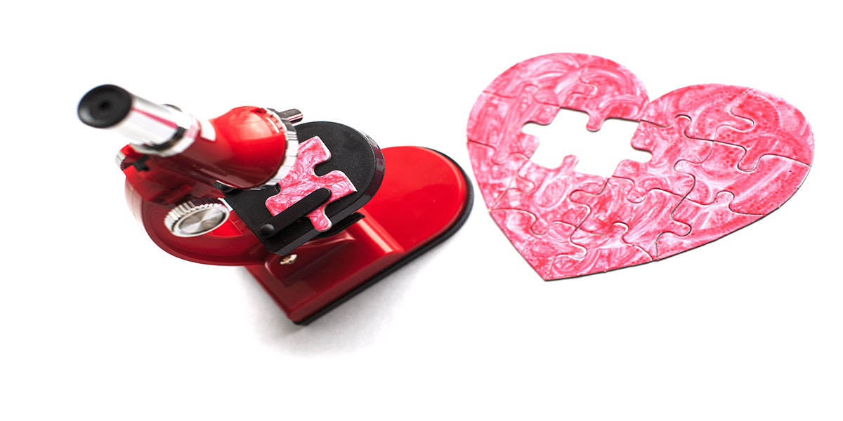 Heart,Under,A,Microscope.,A,Piece,Of,The,Puzzle,From