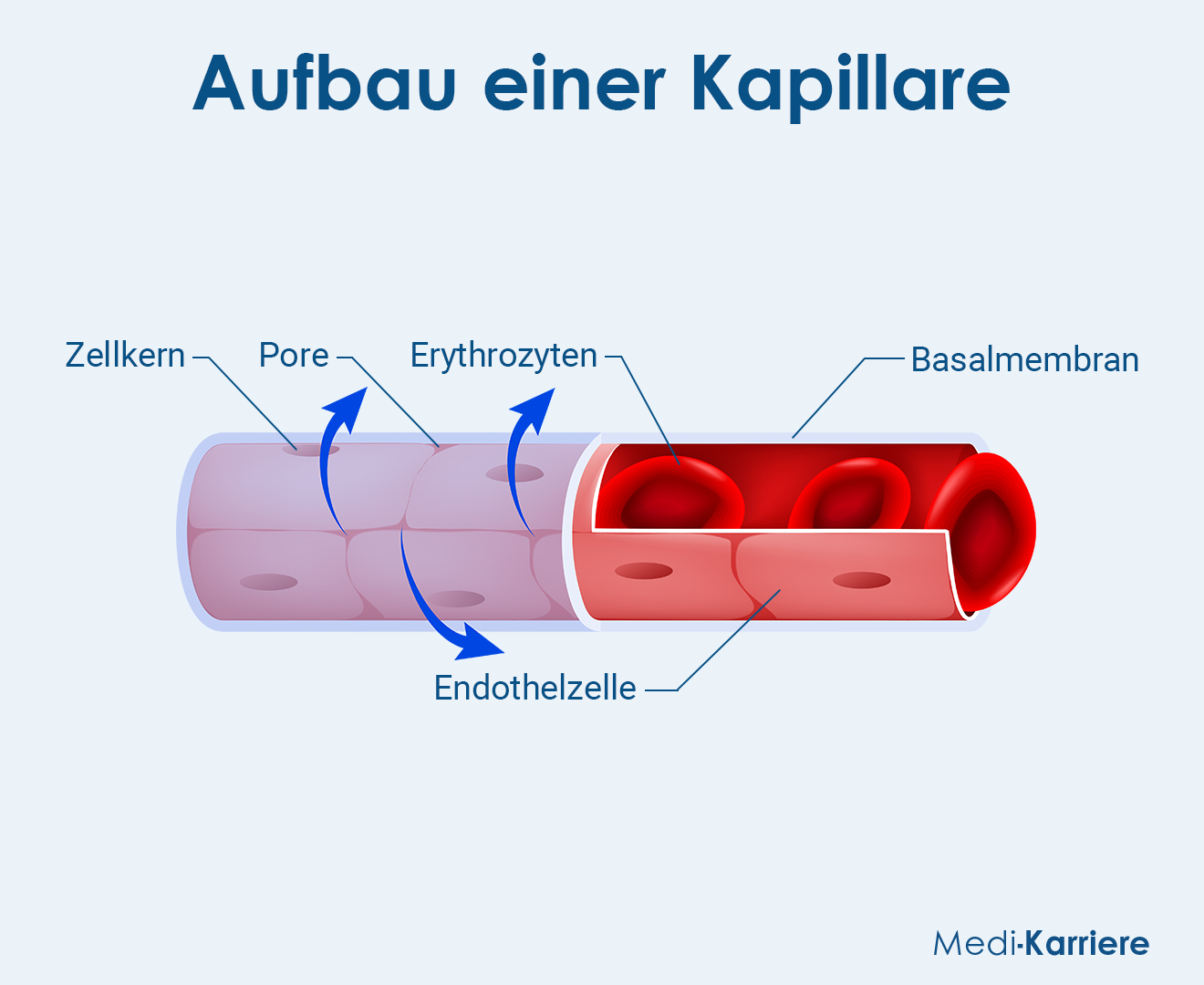 Kapillare Grafik