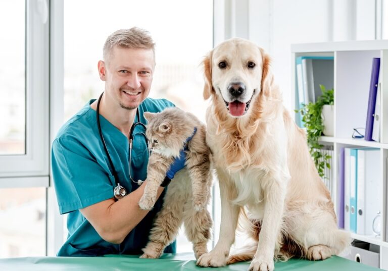 Tierheilpraktiker Gehalt