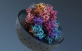Chromosomes,,Dna,,Cells,Package,The,Dna,Into,The,Nucleus,3d