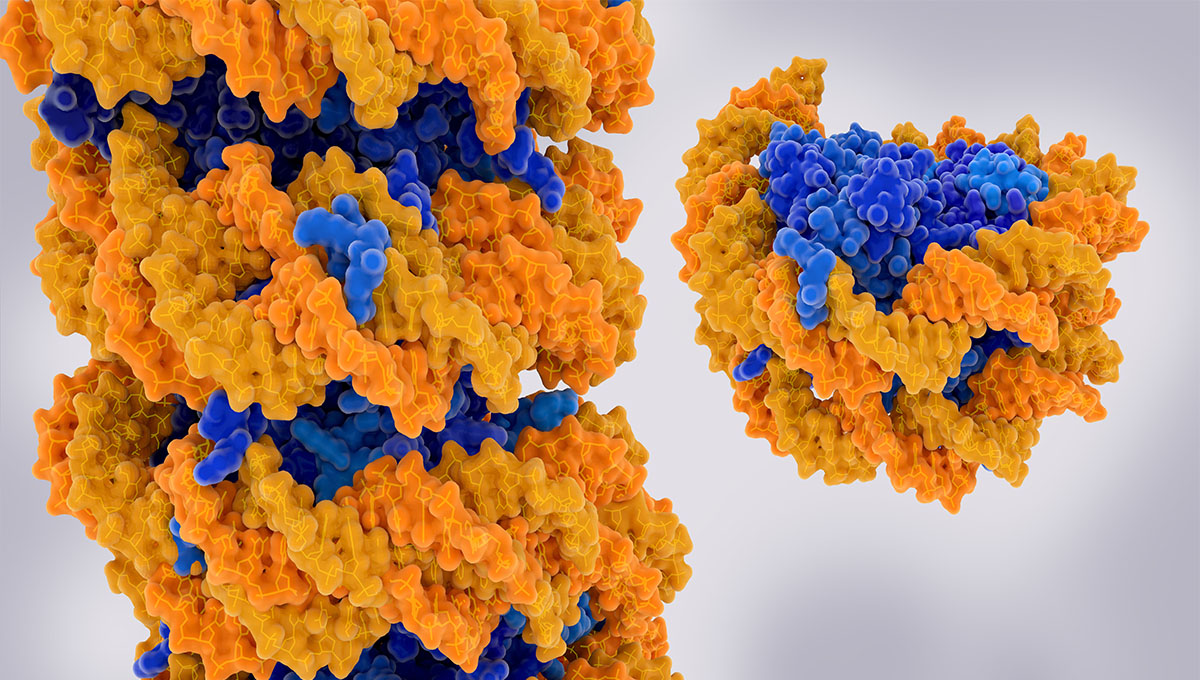 Chromatin,Strand,And,Isolated,Nucleosome.,Chromatin,Is,A,Complex,Of