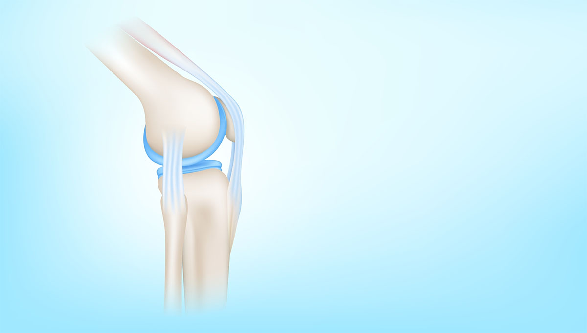 Knee,Joint,With,Healthy,Cartilage,Side,On,Blue,Background,With