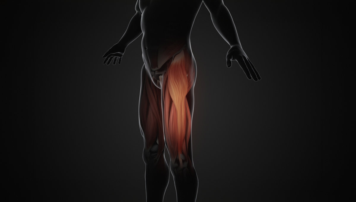 Fascia Lata