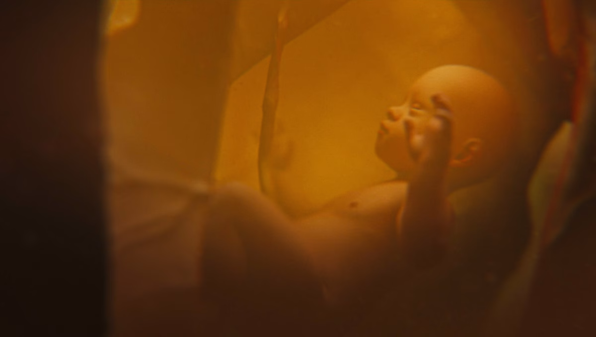 3d,Animated,Graphics,Of,Baby,Developing,In,Mother,Womb,And