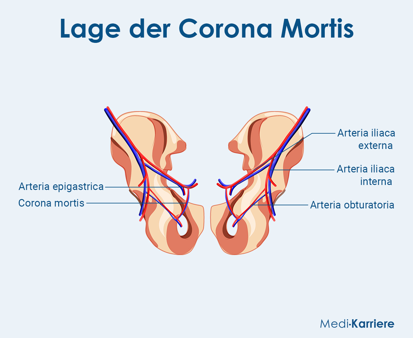 Corona Mortis Grafik