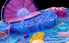 Abstract,3d,Illustration,Of,The,Cell,And,The,Reticulum