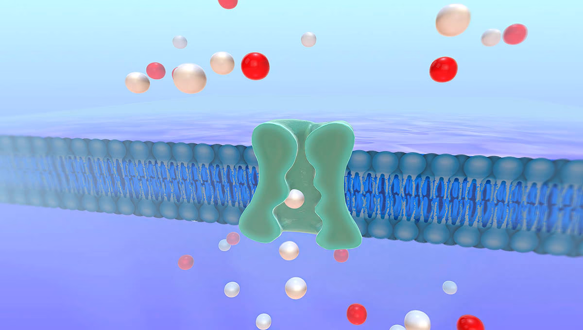The,Sodium,Potassium,Pump,3d,Rendering