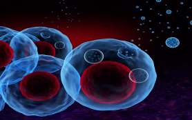 3d,Illustration,Of,Cells,Secreting,Exosomes