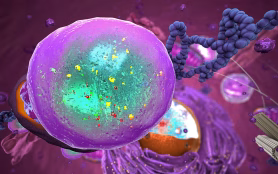 Organelles,Inside,Eukaryote,,Focus,On,Lysosome, ,3d,Illustration