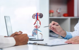 Close Up,Of,Male,Patient,Consultation,With,Doctor,,Explaining,Model,Of