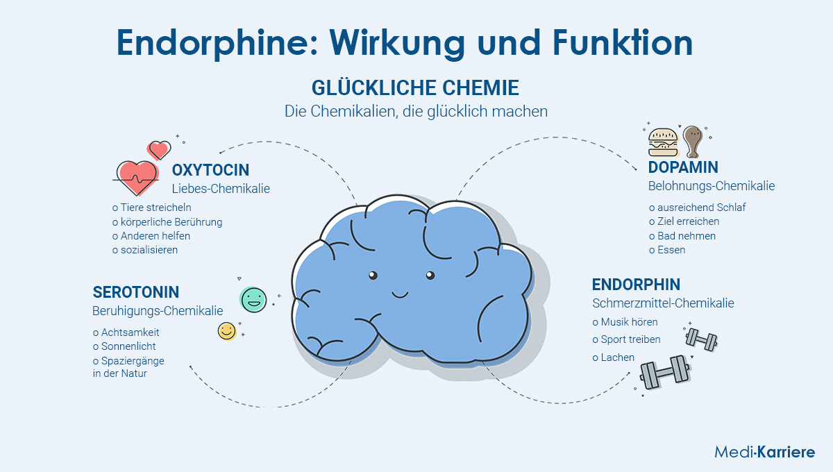Endorphine Wirkung Und Funktion Medi Karriere