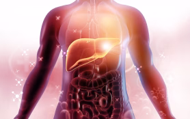 Human,Liver,Anatomy,On,Scientific,Background.,3d,Illustration