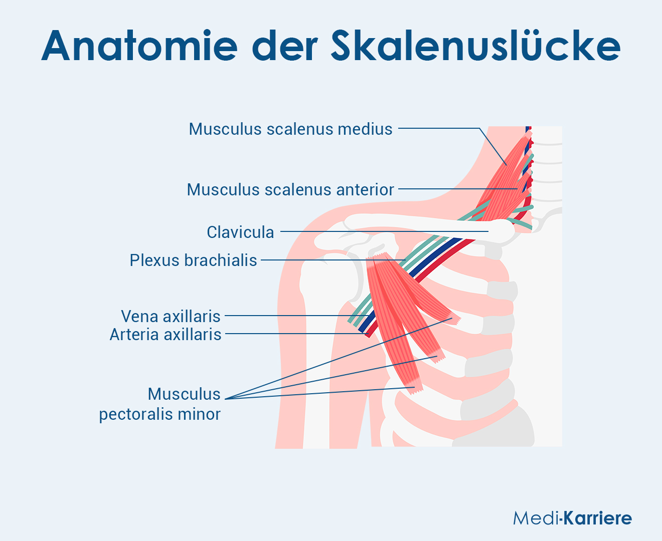 Skalenuslücke 1 Grafik