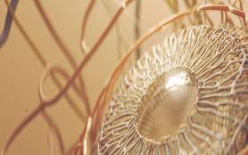 Super,Close Up,Of,3d,Rendering,Human,Eye,Anatomy,In,Gold