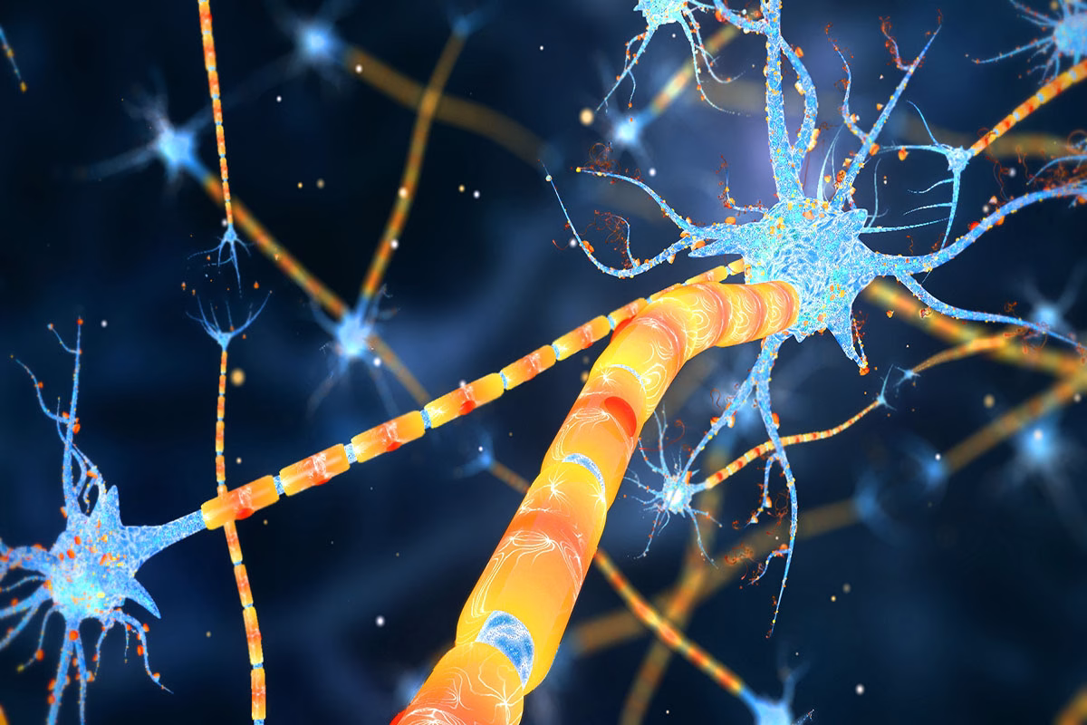 Neuronas,And,Synapse,3d,Render.,Neuronal,Activity,In,The,Brain,
