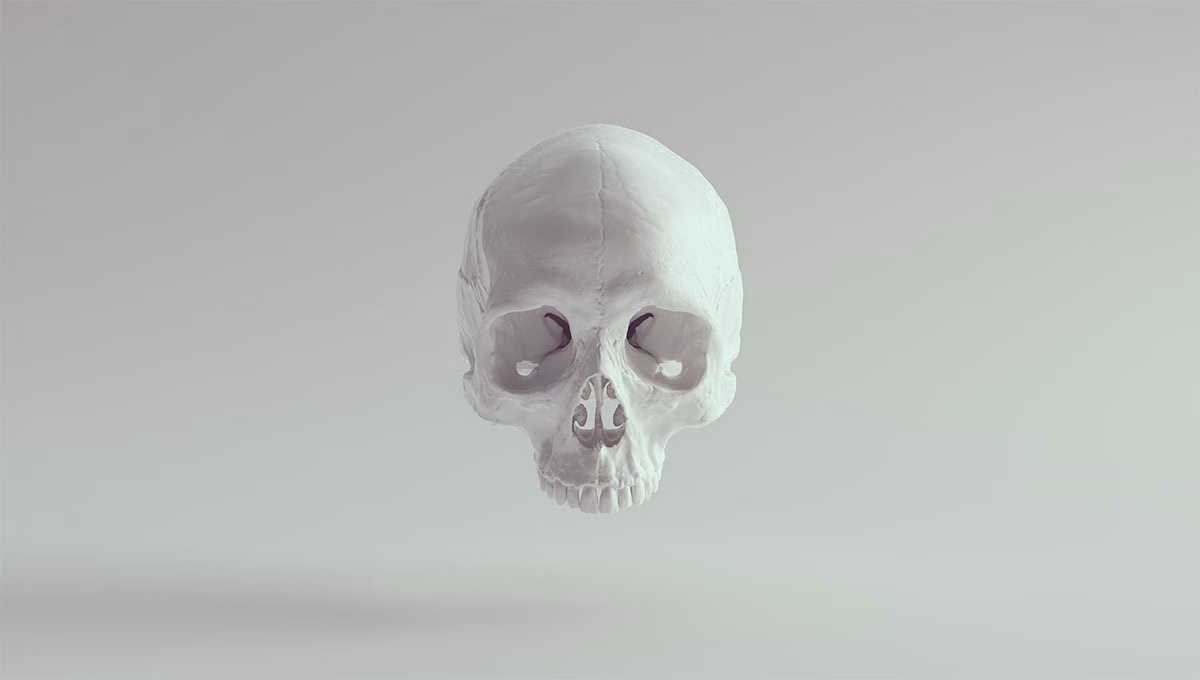 White,Skull,Female,Head,Skeleton,Halloween,Bone,Death,Dead,Anatomy