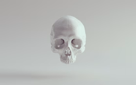 White,Skull,Female,Head,Skeleton,Halloween,Bone,Death,Dead,Anatomy