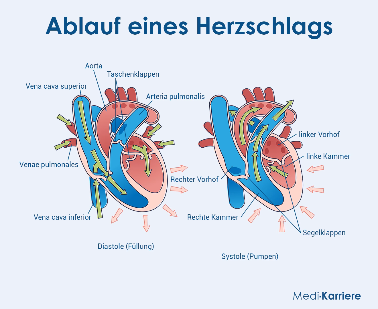 Herzschlag Grafik