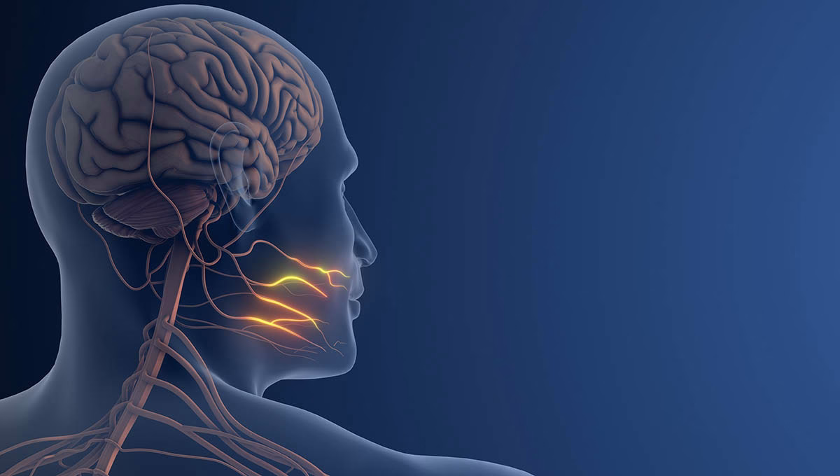 Facial,Nerve,Pain,Or,Trigeminal,Neuralgia,3d,Illustration